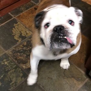 Meet your Posher, Sean